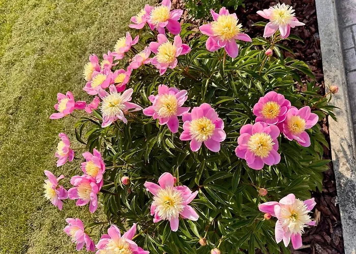 Independant A Avec Terrasse, Proche Aeroport Cdg * Roissy-en-France